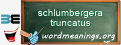 WordMeaning blackboard for schlumbergera truncatus